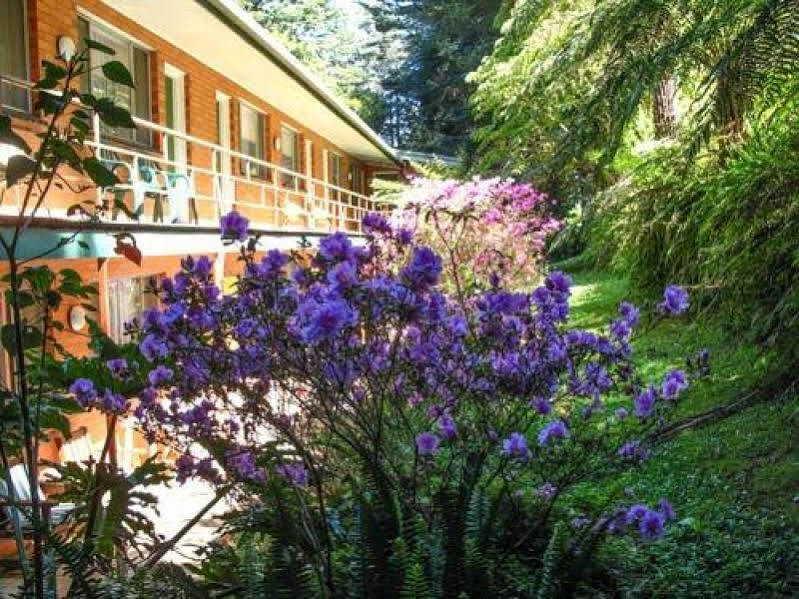 Warburton Motel Exterior foto